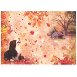 Papier ryżowy Ciao Bella A4 21*29,7cm  CBRP059  , jesień , pies,